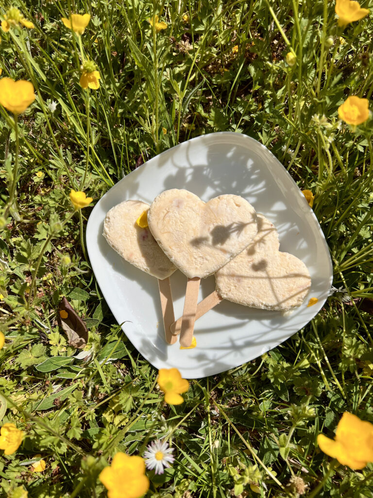 Keto lody rabarbarowe - pyszny, letni deser bez cukru