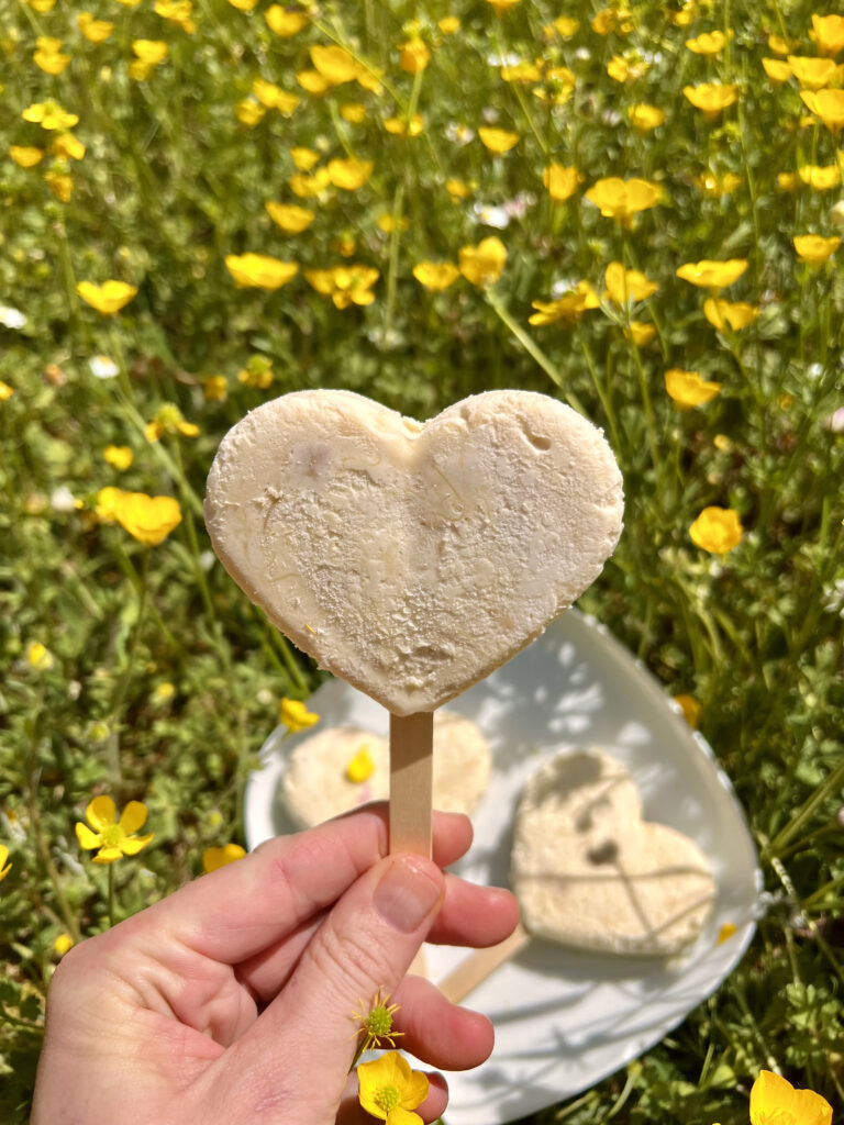 Keto lody rabarbarowe - pyszny, letni deser bez cukru
