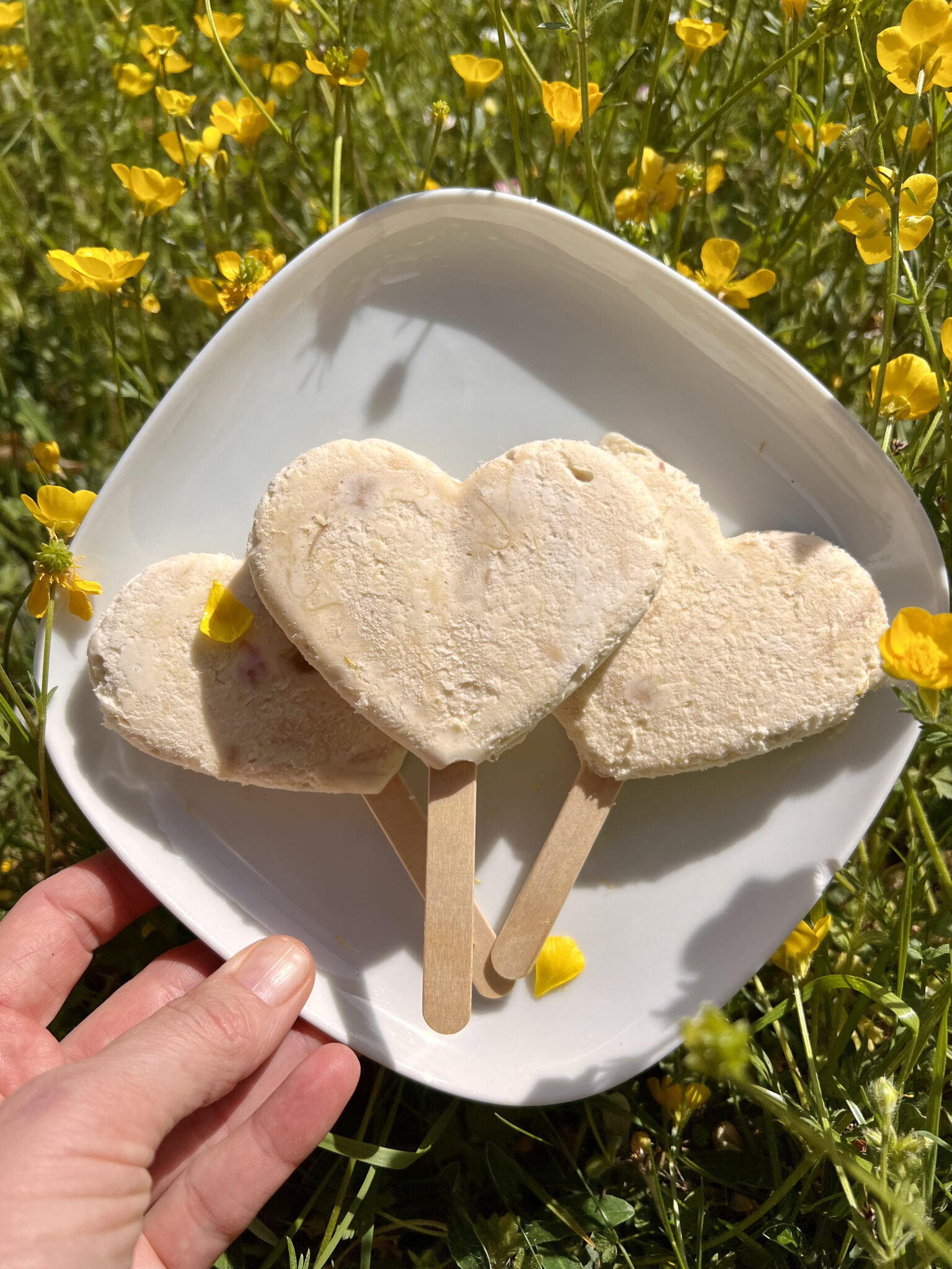 Keto lody rabarbarowe - pyszny, letni deser bez cukru