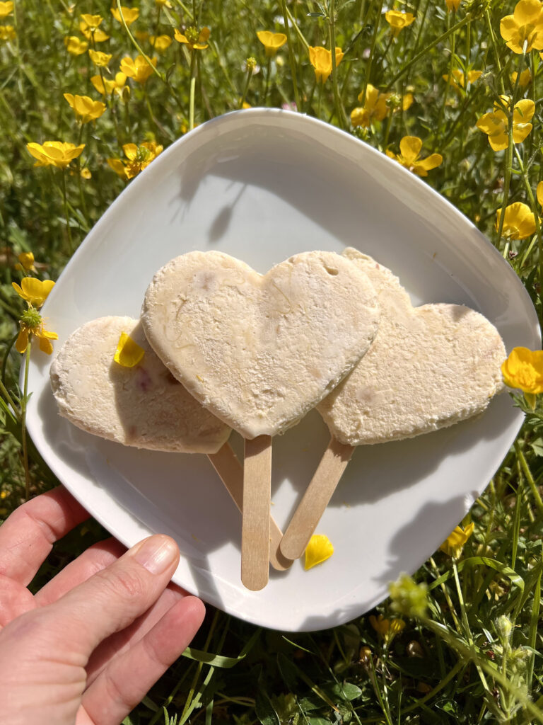 Read more about the article Keto lody rabarbarowe – pyszny deser bez cukru