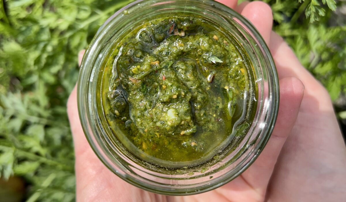 Domowe pesto z liści marchewki, pistacji i parmezanu