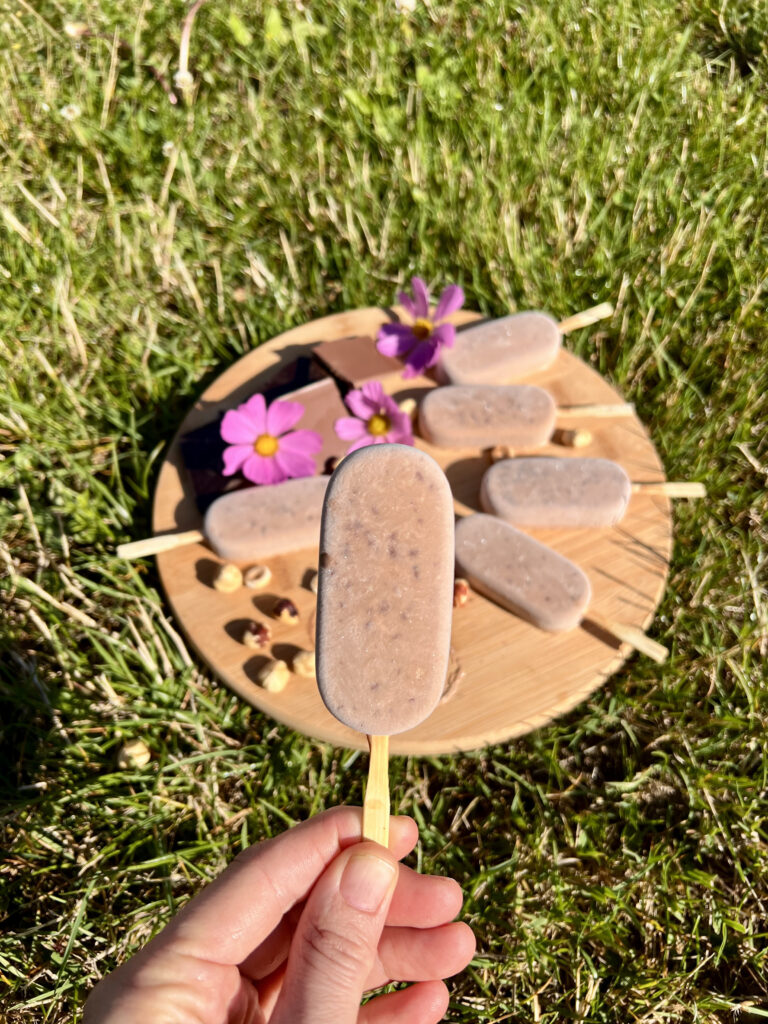 Lody bez cukru o smaku Nutelli czekoladowo-orzechowe