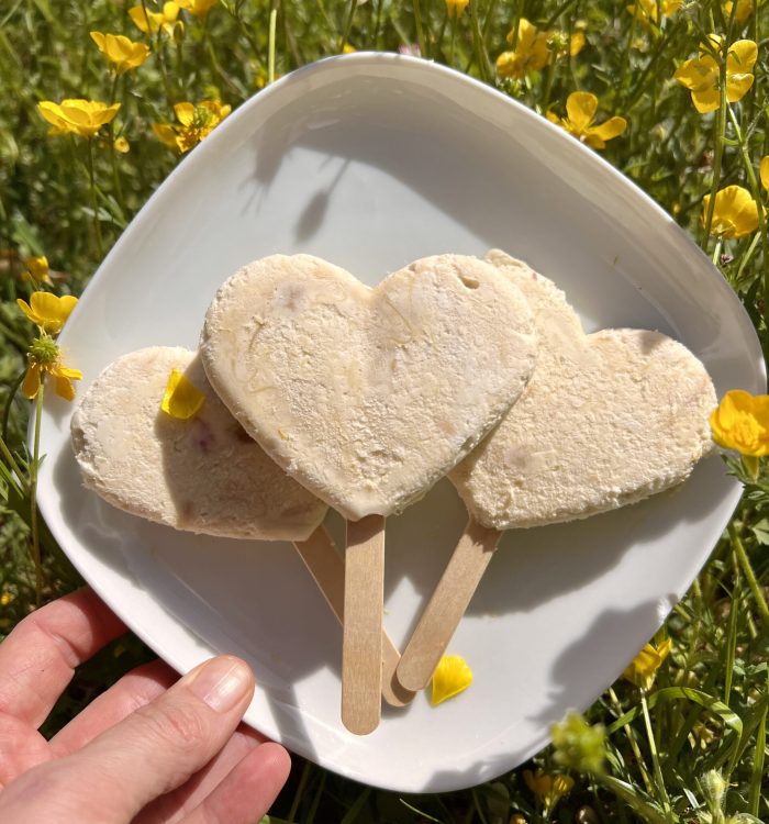 Keto lody rabarbarowe - pyszny, letni deser bez cukru